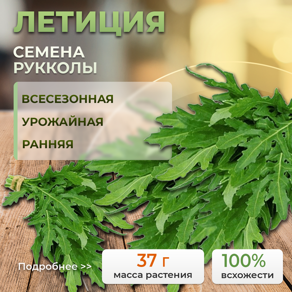 ЛЕТИЦИЯ семена рукколы Enza Zaden Alexagro купить
