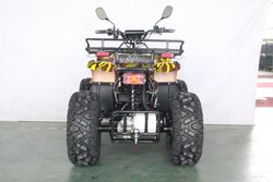 Вездеход ЕМ-04 4х4 (4500Вт 72В R12 алюм. Диф)