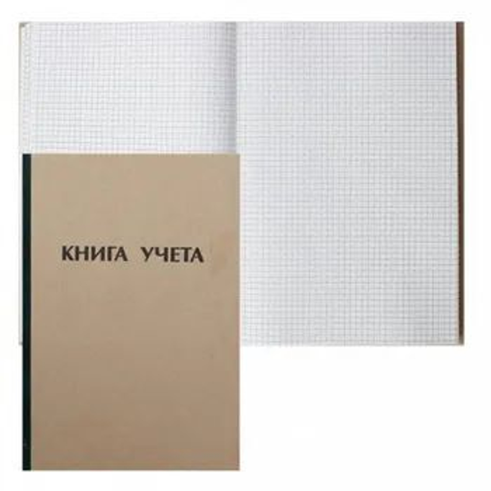 Книга учета кл. (203*288мм) 160л., обл.твердая Крафт, офсет 60г/м2