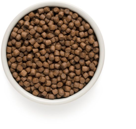 Grandorf Mini Adult Lamb & Turkey для собак мини пород Ягненок с Индейкой