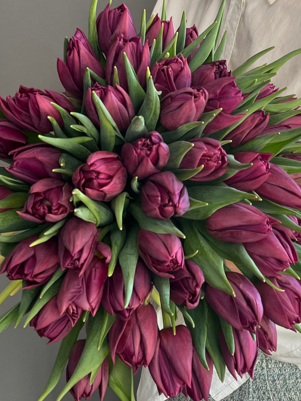 Букет пионовидных тюльпанов
