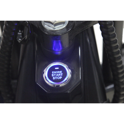 Электроскутер Skyboard Ural BR30-2WD 4000W