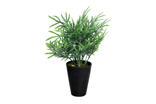 8J-18CK0020 Кипарисовик в горшочке 25 см (24)