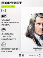Портрет для школы в кабинет физики "Исаак Ньютон", стенд школьный для класса, деятели науки для оформления классного уголка, 40х30 см, Silver Plane x Айдентика Технолоджи