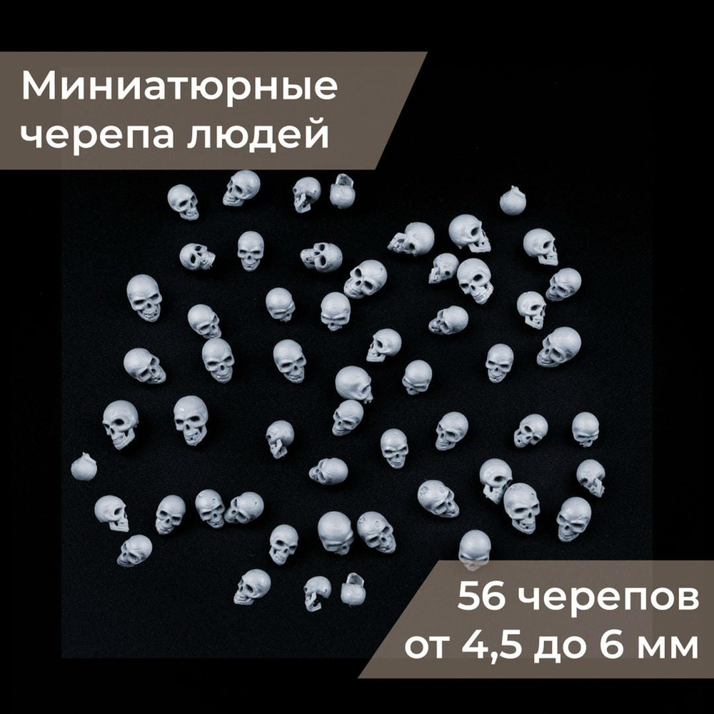 56 миниатюрных черепов людей