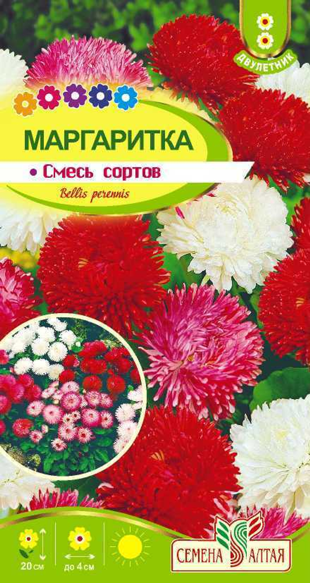 Маргаритка семена - купить в Дмитрове, Москве и Московской области по  низкой цене