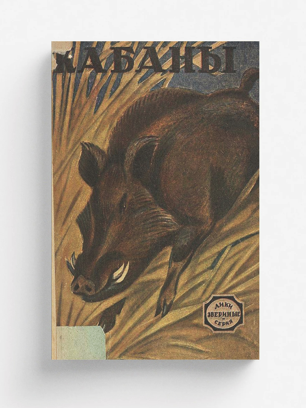 Кабаны. Рассказ | Нет автора