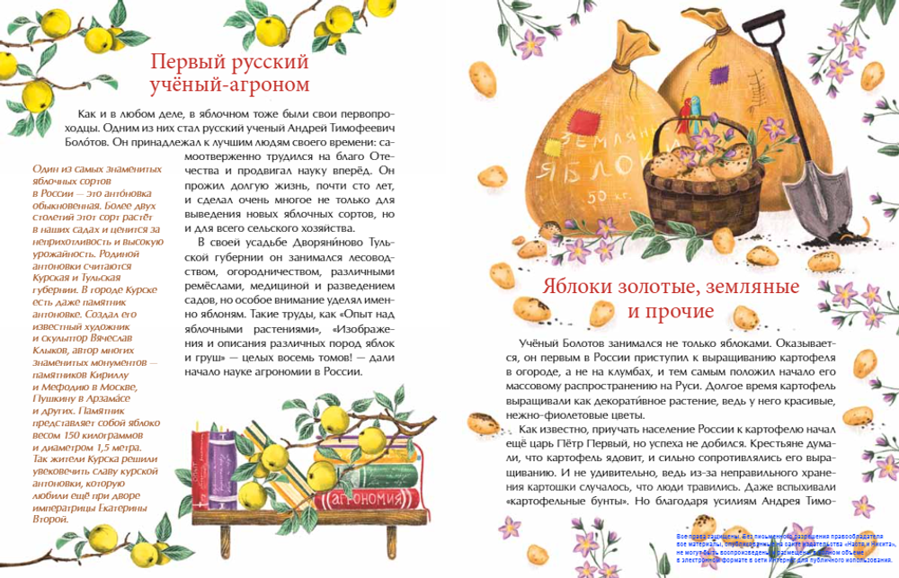 Эх, яблочко! Неизвестные истории известного фрукта