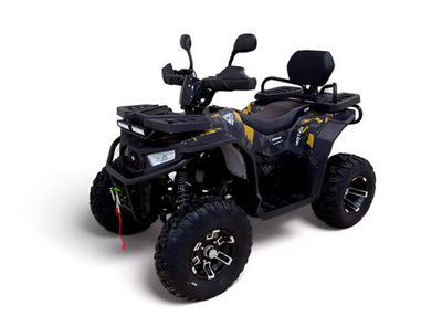 Квадроцикл MOTAX Grizlik W200 LUX