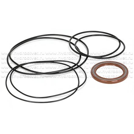 A2FO250 SEAL KIT - Комплект уплотнений (с манжетой 60x80x7 мм) для гидронасоса/гидромотора Rexroth A2FO250, A2FM250, A2FE250