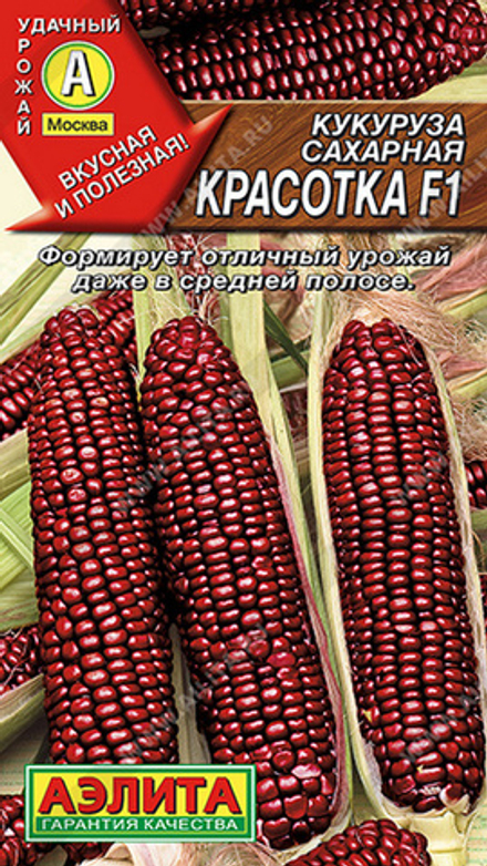 Кукуруза сахарная "G. Красотка F1" 5шт, Россия.