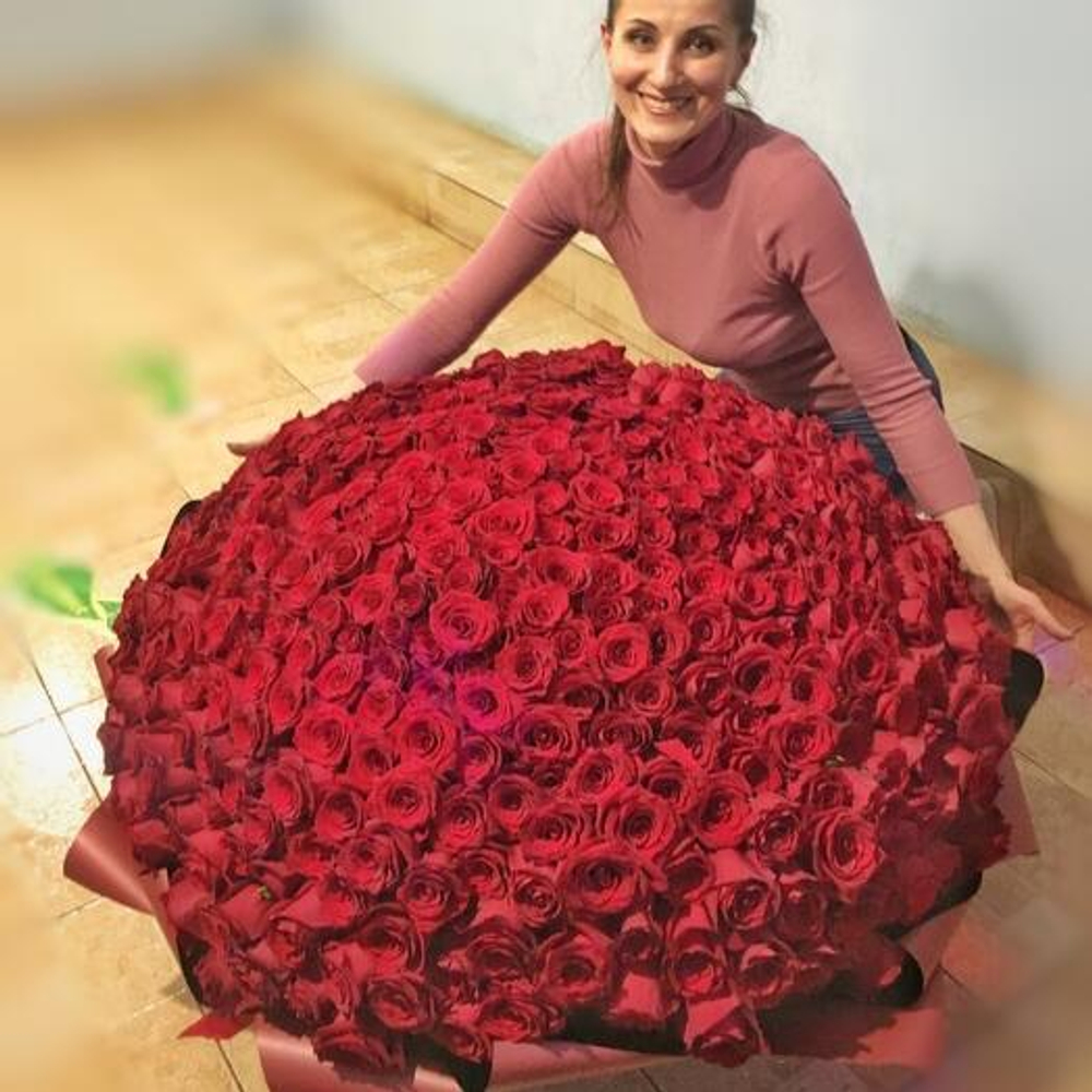 Букет гигант из 501 розы сорта "Эксплорер" (Эквадор 60 см)