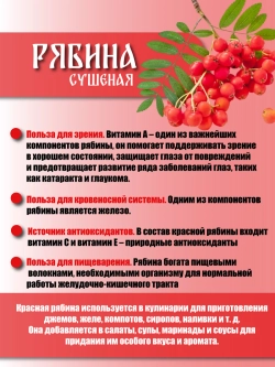 Рябина красная сушеная