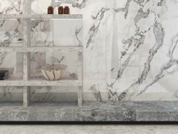 FORTE DEI MARMI QUARK