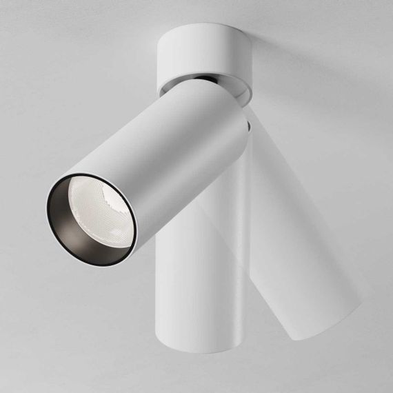 Потолочный светильник Maytoni Technical C055CL-L12W4K-SS-W