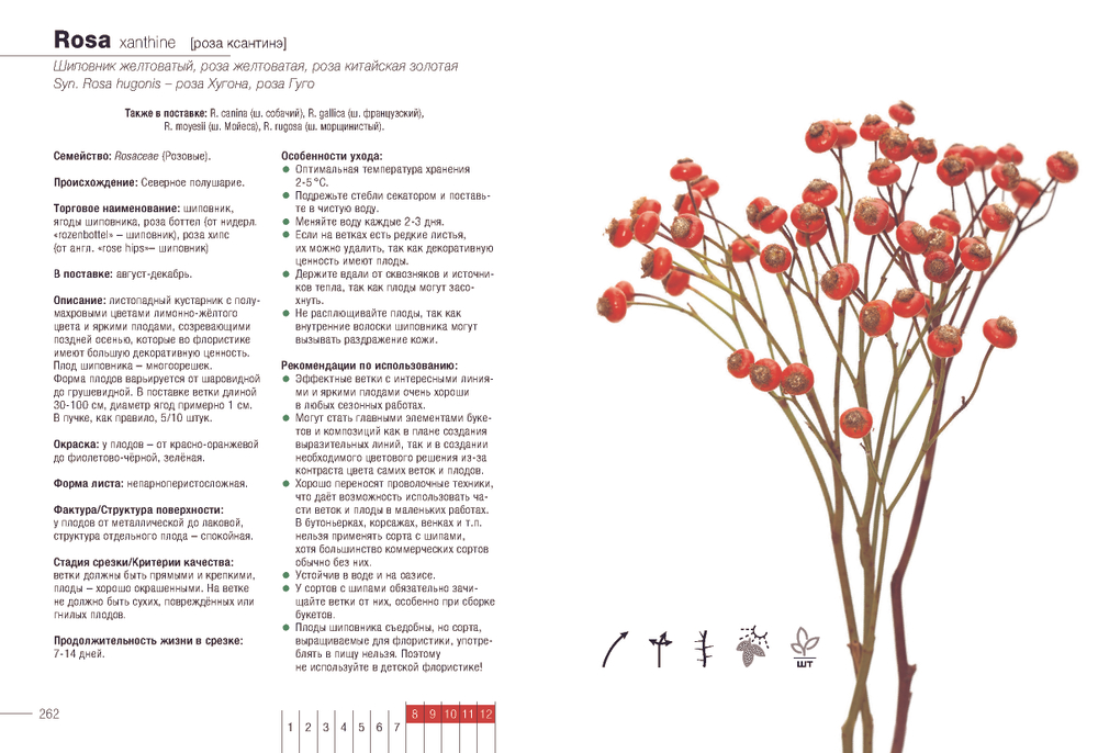 Цветы и зелень в срезке от A до Z. Комплект из 3-х книг