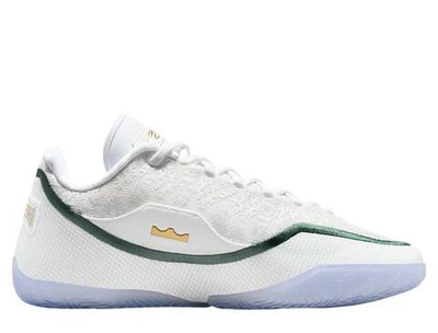 Баскетбольные кроссовки Nike LeBron XXIII „From This Point Forward” White/Light Smoke Grey/Black/Stadium Green