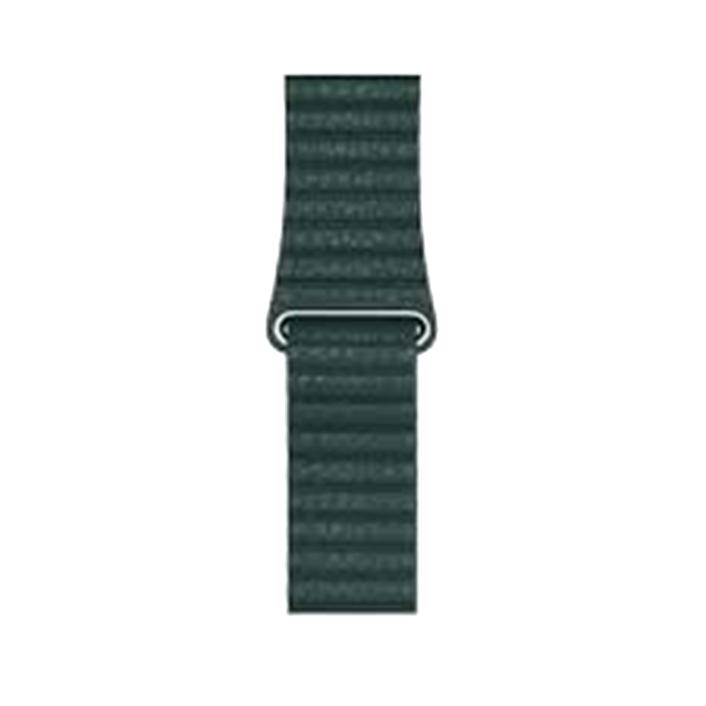 Браслет-ремешок для Apple Watch Magnit leather back loop band (WH5206-GR) forest Green Coteetci