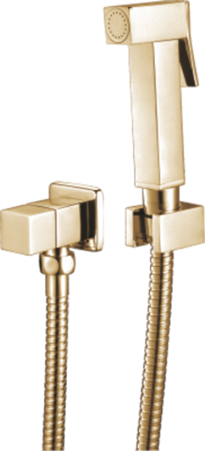 2039-Е SET Комплект ЗОЛОТО для биде  (КВАД) GANZER