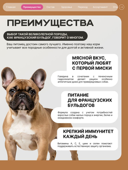 Корм сухой для взрослых собак породы Французский бульдог, с говядиной, 6 кг, QUATTRO