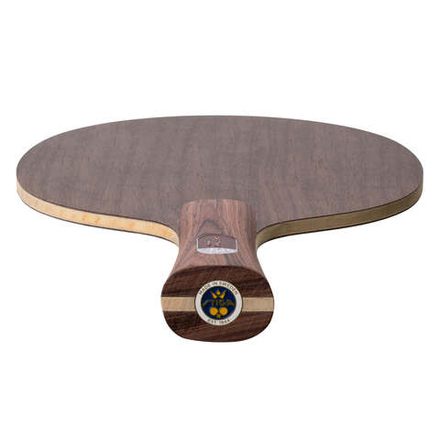 STIGA Destiny Carbon