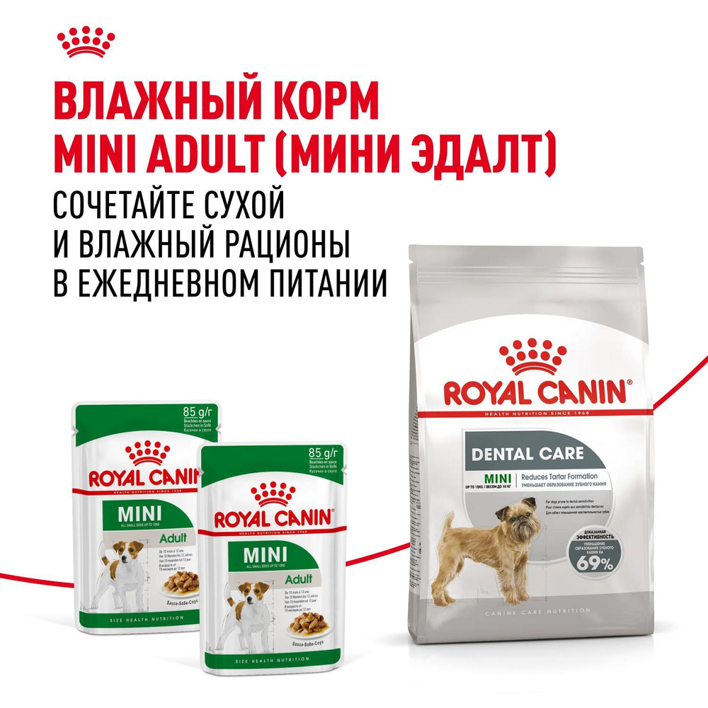 Royal Canin Mini Dental Care Корм сухой для собак мелких размеров 3 кг