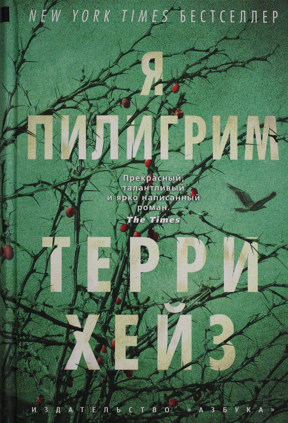 Я Пилигрим