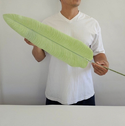 Лист одиночный "Экзотика" / Арт 9066