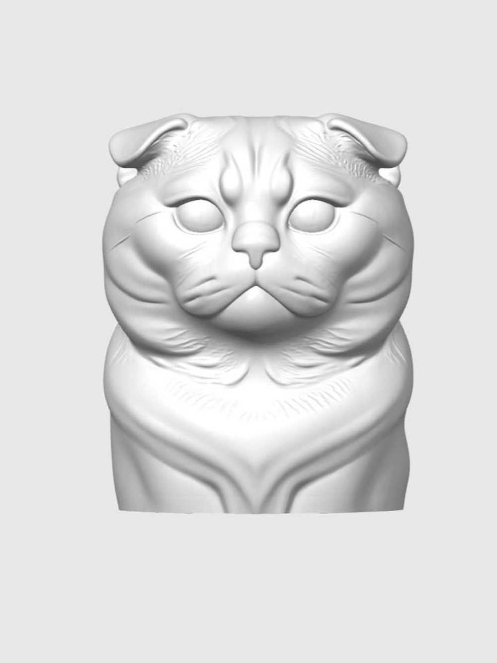 Шотландская вислоухая кошка