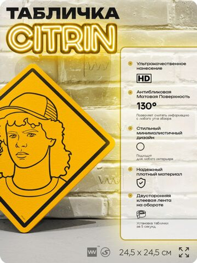 Табличка декоративная "Дастин Хендерсон" из сериала Очень Странные Дела, на дверь и стену, прикольная штука в подарок фанату, декоративный знак ЦИТРИН, 24,5х24,5 см, пластиковая, Айдентика Технолоджи
