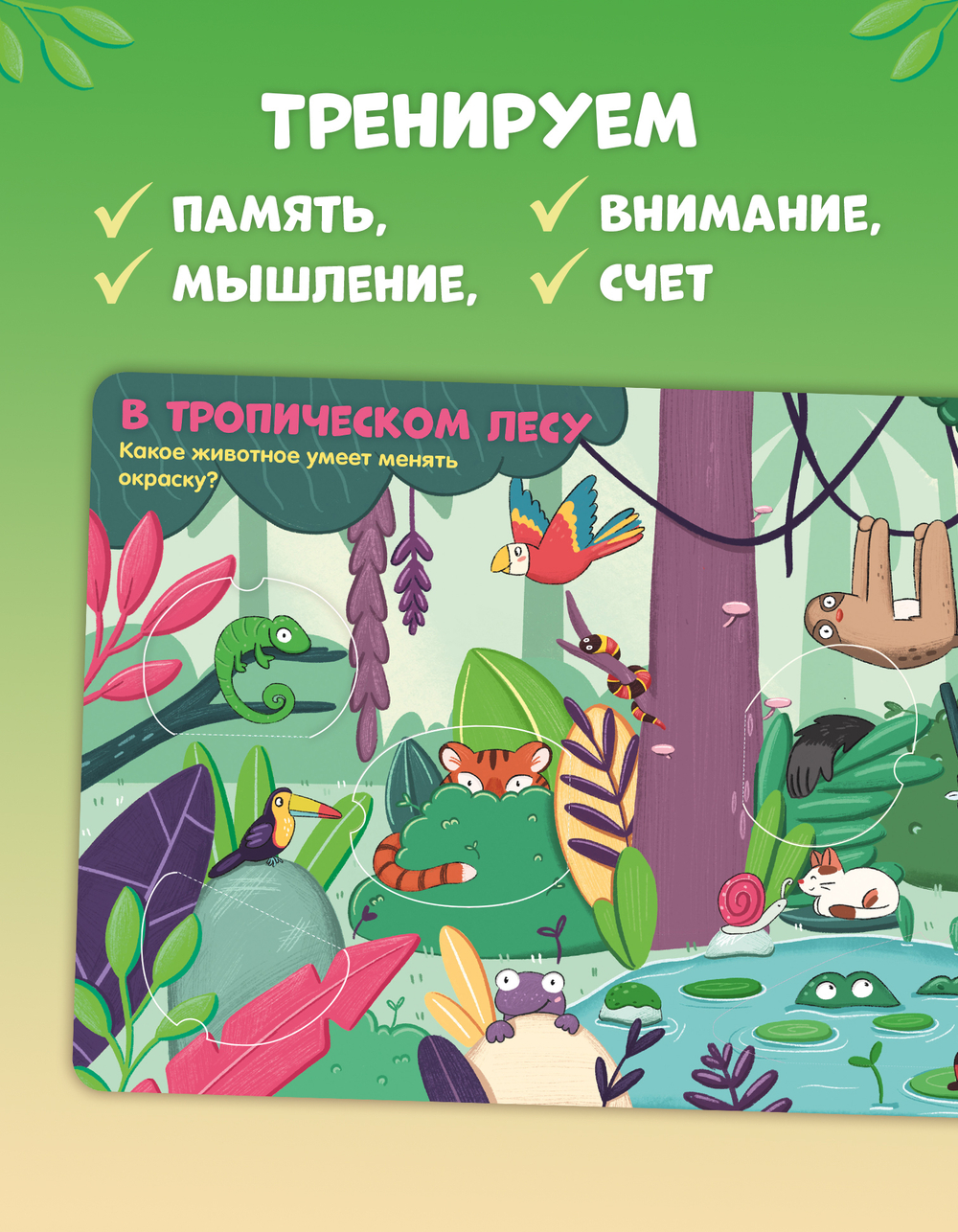 Книжка с окошками. Животные