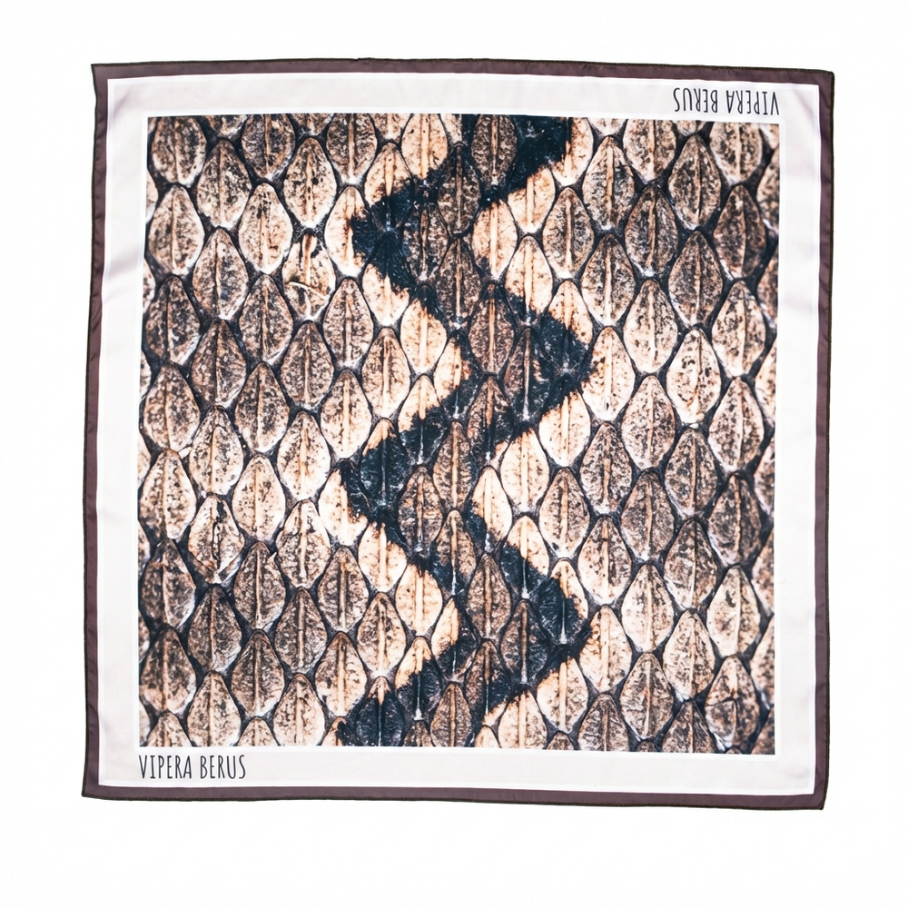 Шейный платок «Vipera berus», 70×70 см