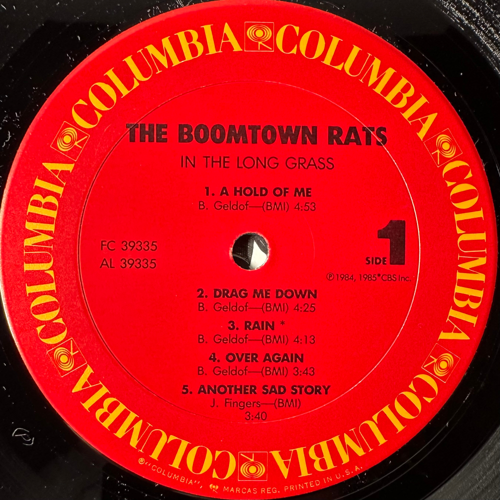 The Boomtown Rats ‎– In The Long Grass (США 1984г.)