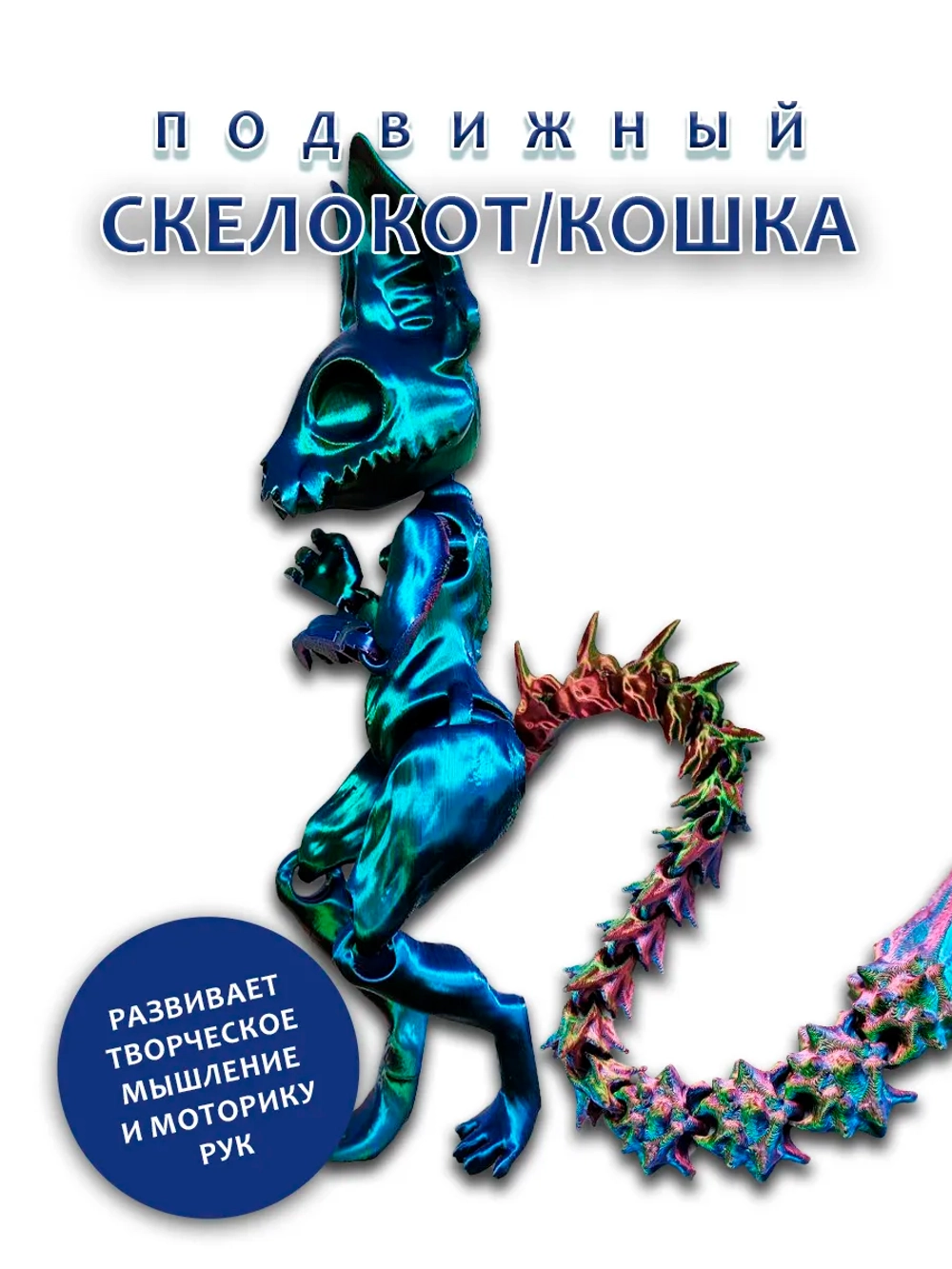 Скелет Кошки