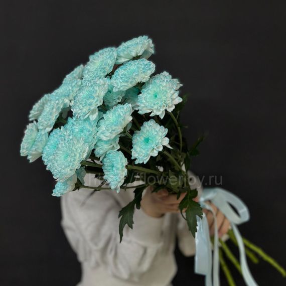 Букет из голубой хризантемы
