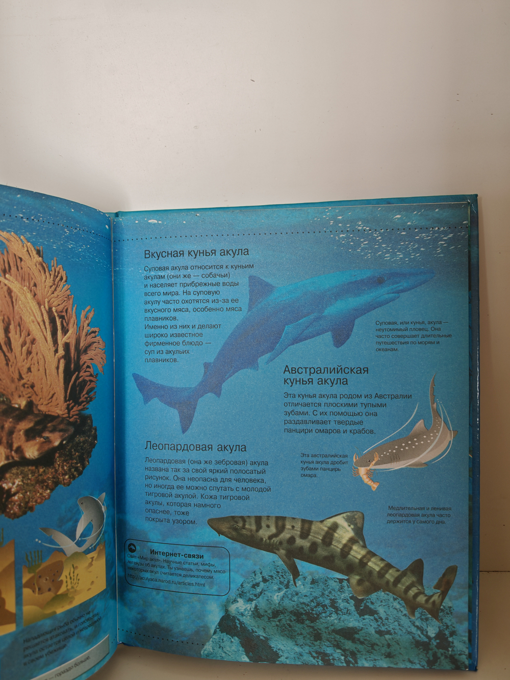 Акулы (Энциклопедия + Интернет. Неизвестные и удивительные факты)