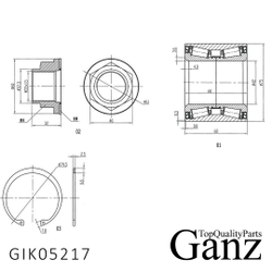 Подшипник ступицы задний CITROEN/FIAT/PEUGEOT all Bus 94-02 GANZ GIK05217
