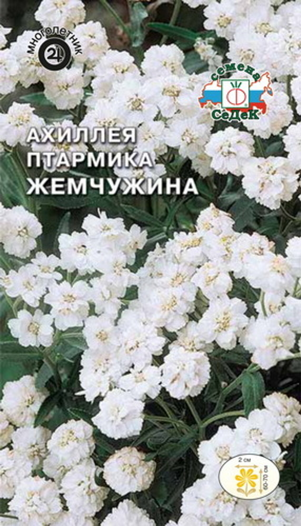 Томат Катя Семко