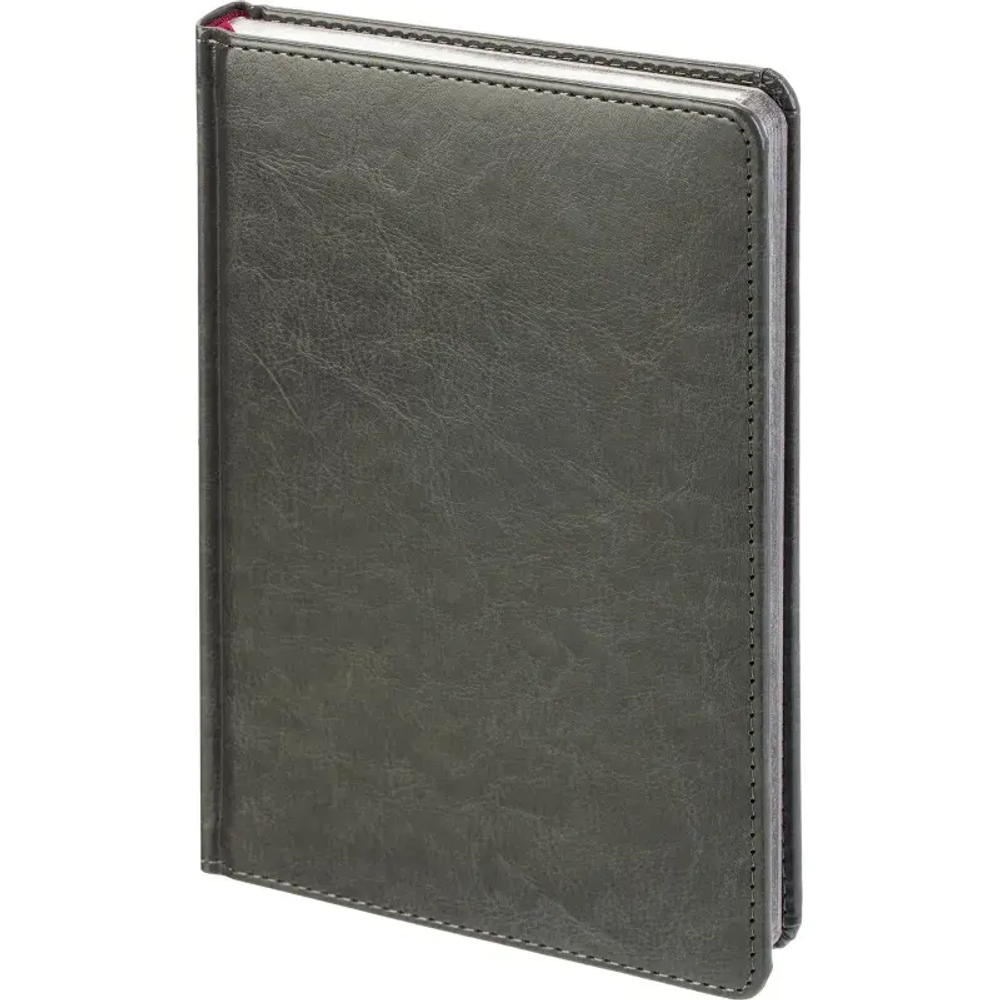 Ежедневник недатированный А5+ SIDNEY NEBRASKA серый,сереб.обр,136л 3-128/22