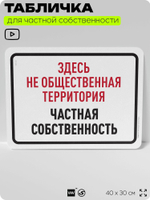 Табличка для частной территории "Здесь не общественная территория, частная собственность", на дом, для участка, организаций, предупреждающая, 40х30 см, Silver Plane x Айдентика Технолоджи