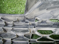 DSCN2903.jpg