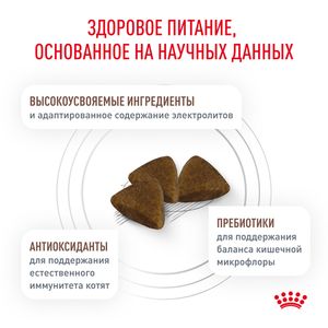 Корм сухой Royal Canin GASTROINTESTINAL KITTEN для котят в возрасте от 2 до 10 месяцев при нарушениях пищеварения