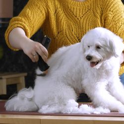 Машинка для стрижки животных Moser Arco Pro (1876-0063)