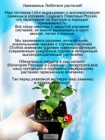 Морозник Розовый с белой окантовкой Дабл Пинк Уайт Эдж