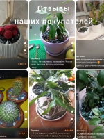 Керамзит цветной