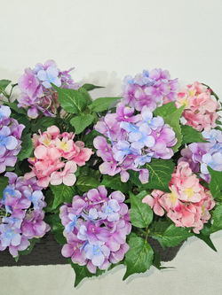 Гортензия розово-лиловая 70см в балконном ящике