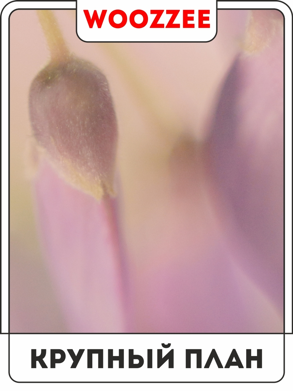 Набор постеров "Розовый букет" 3шт.