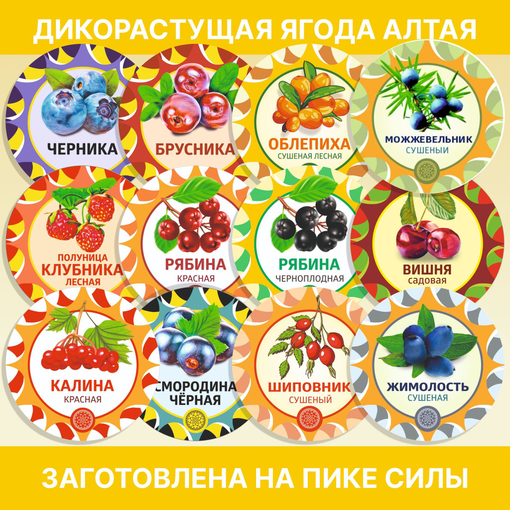 Патриния безразличка корень.