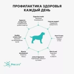 Корм сухой для собак мелких пород с индейкой и рисом, пакет 1кг,  Grandorf Dog Turkey & Rice Mini