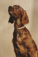 Ошейник "Пони-Макарони" Рыжий (бежевый канат)